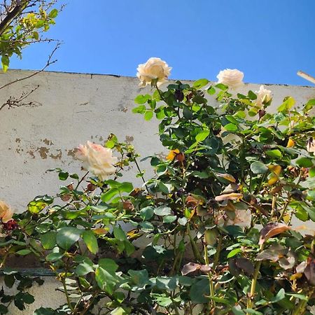 Duplex Bien Equipe Securise Avec Jardin Et Veranda La Marsa Exteriör bild