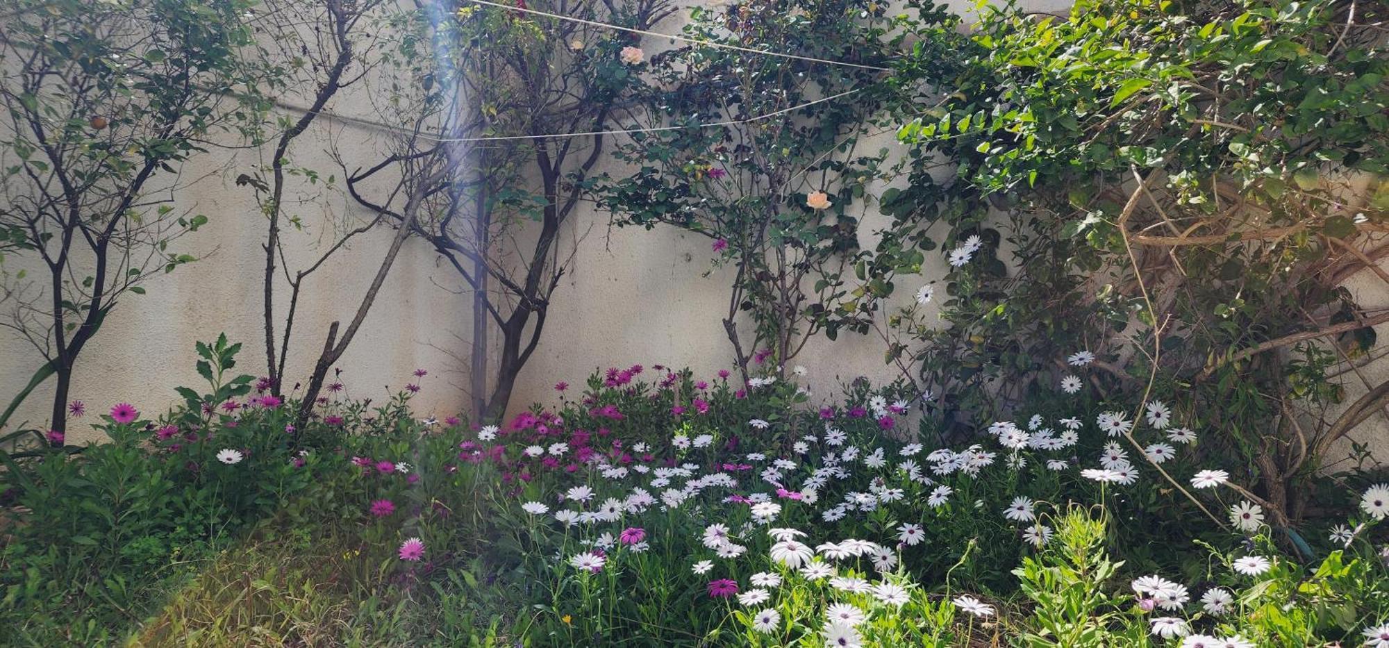 Duplex Bien Equipe Securise Avec Jardin Et Veranda La Marsa Exteriör bild