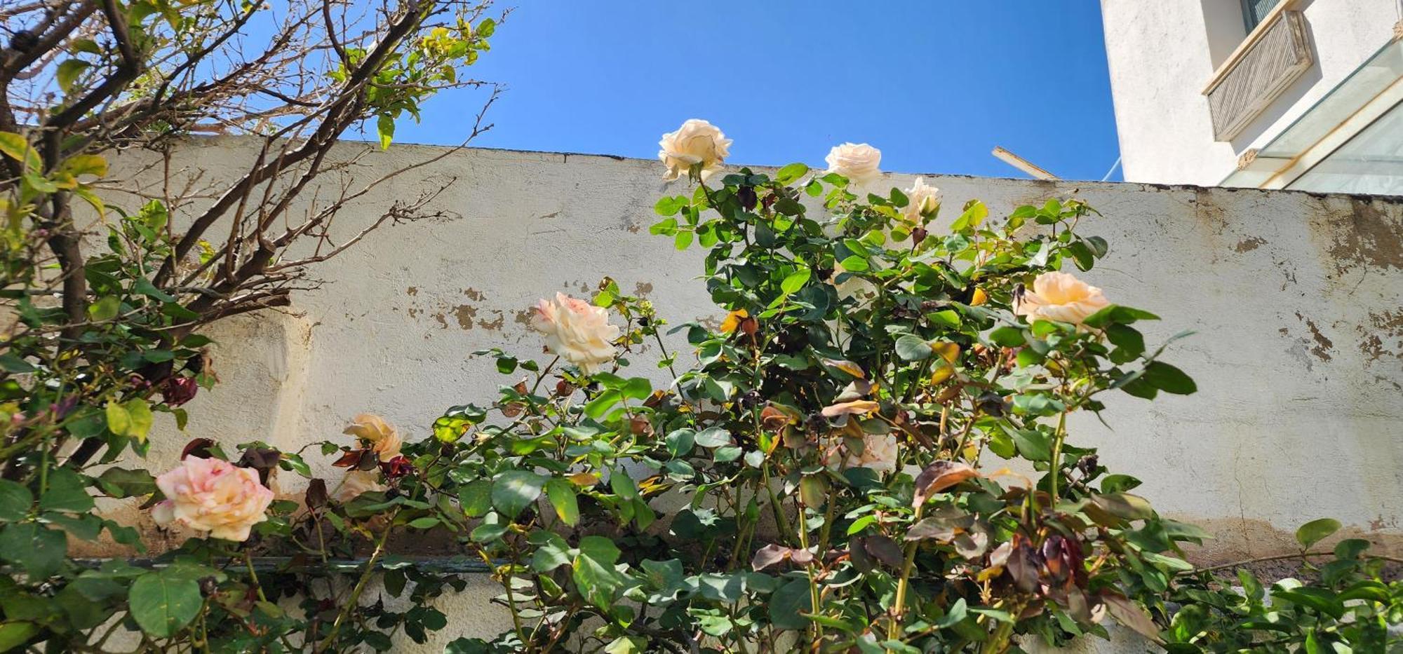 Duplex Bien Equipe Securise Avec Jardin Et Veranda La Marsa Exteriör bild