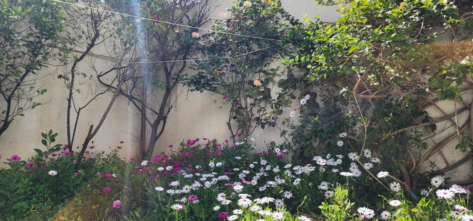 Duplex Bien Equipe Securise Avec Jardin Et Veranda La Marsa Exteriör bild