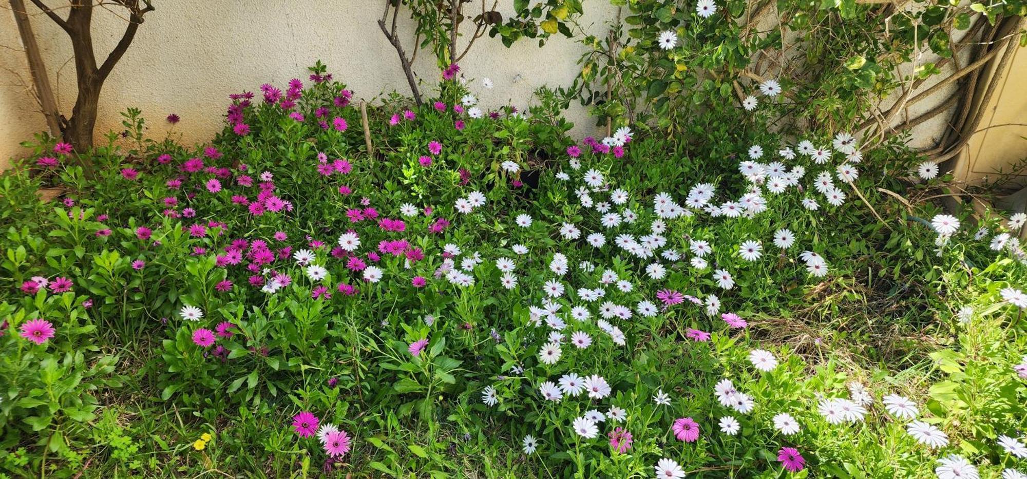 Duplex Bien Equipe Securise Avec Jardin Et Veranda La Marsa Exteriör bild