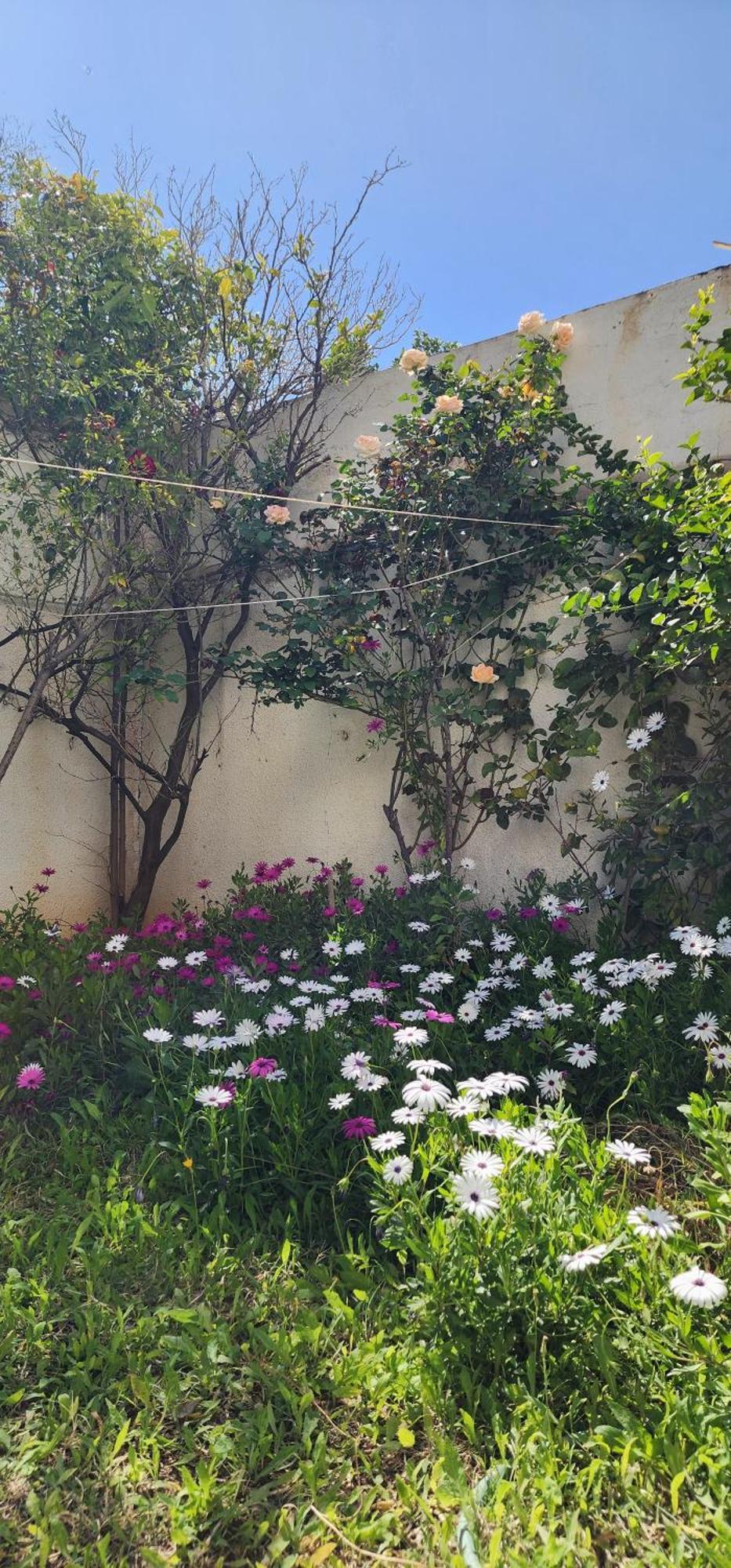 Duplex Bien Equipe Securise Avec Jardin Et Veranda La Marsa Exteriör bild